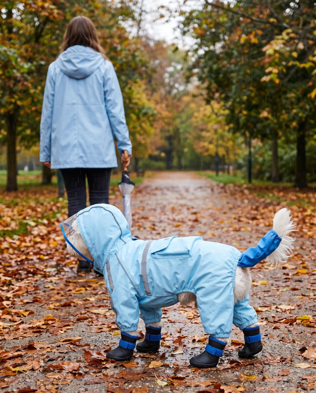 Paseo de otoño con el impermeable