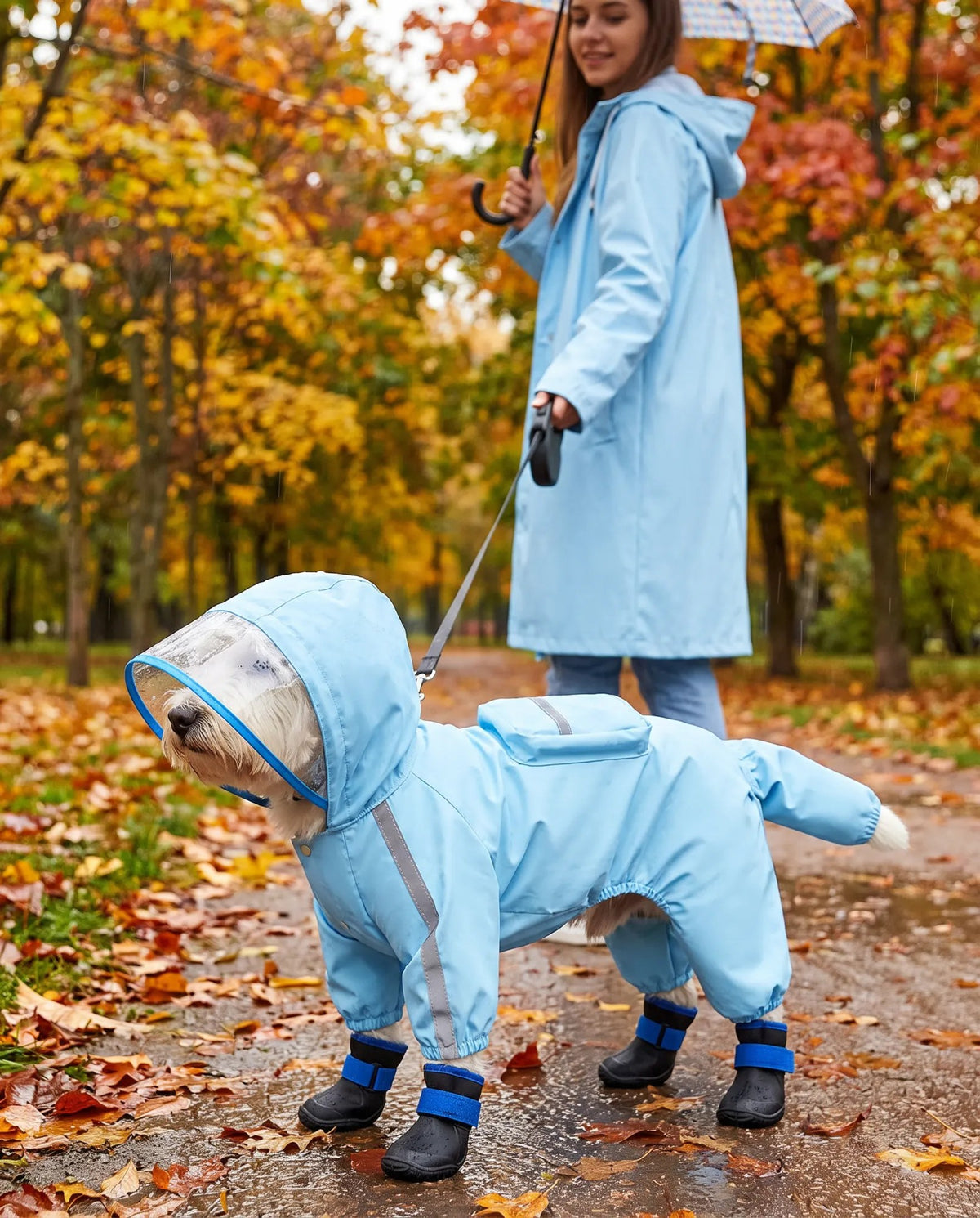Dueña y perro paseando bajo la lluvia